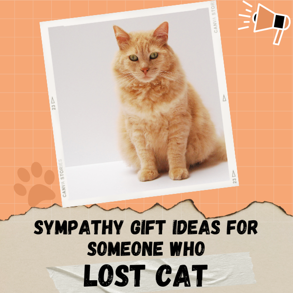 Sympathy Gift Ideas for Someone Who Lost a Cat