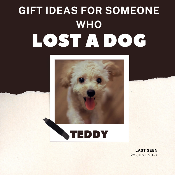 Gift Ideas for Someone Who Lost a Dog